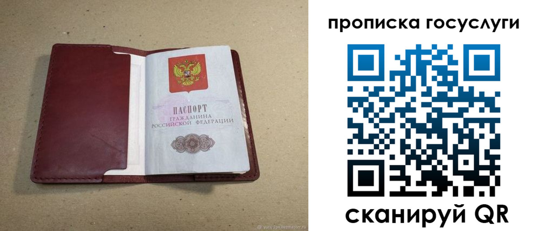 прописка поиск в Строителе